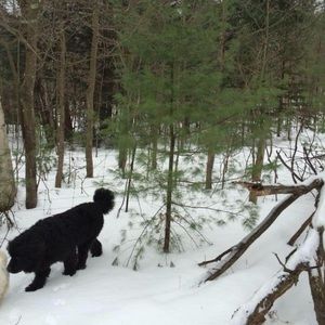 Meet your Posher, Jeff